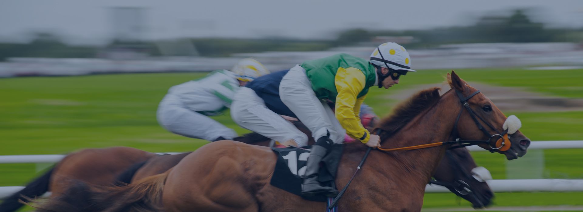 Horse Racing Odds Data - Slide One