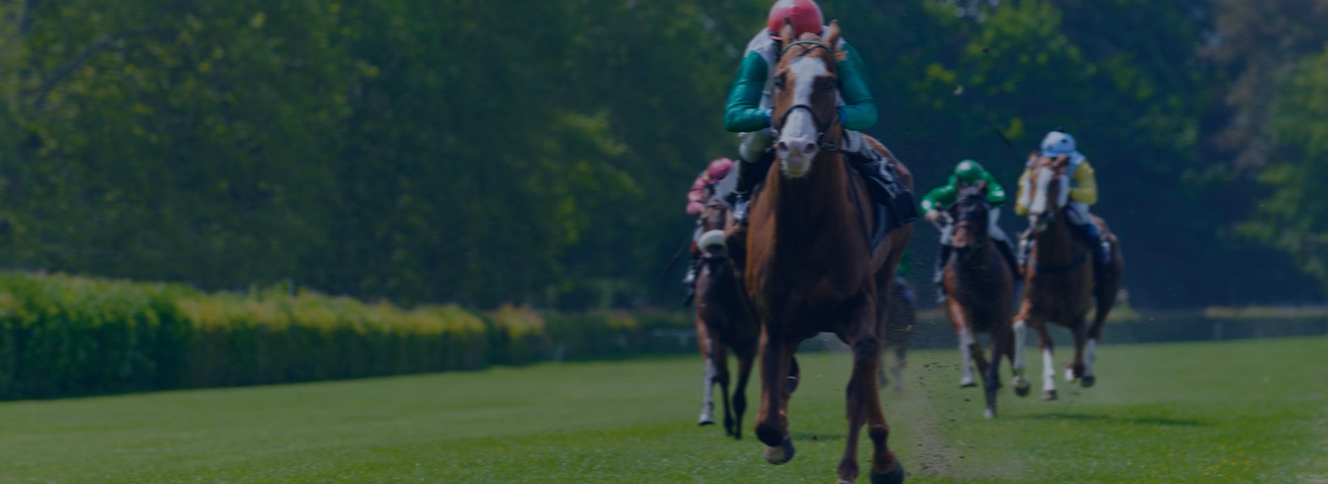 Horse Racing Odds Data - Slide Two