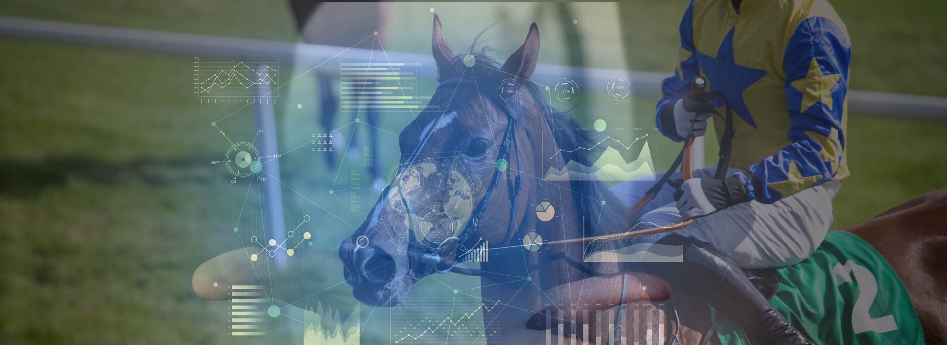 Horse Racing Odds Data - Slide Three