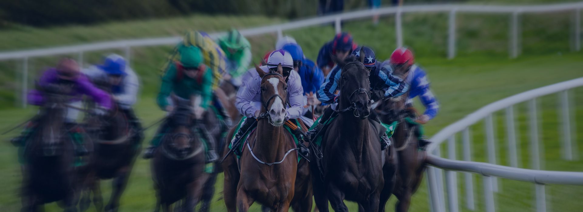 Horse Racing Odds Data - Slide Four