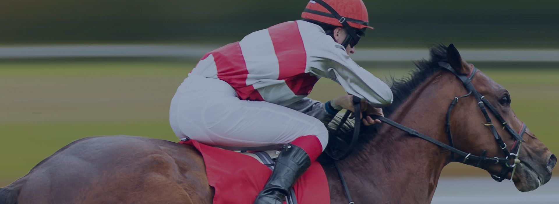 Horse Racing Odds Data - Slide Five