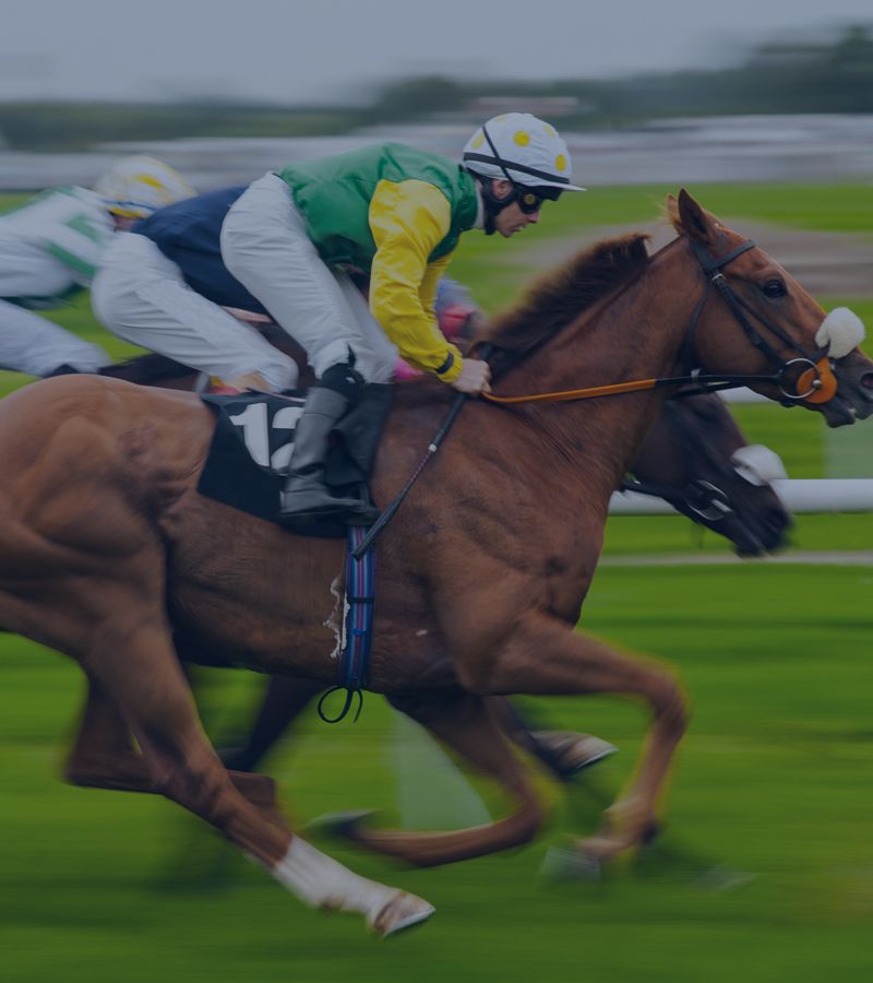 Horse Racing Odds Data - Mobile Slide One