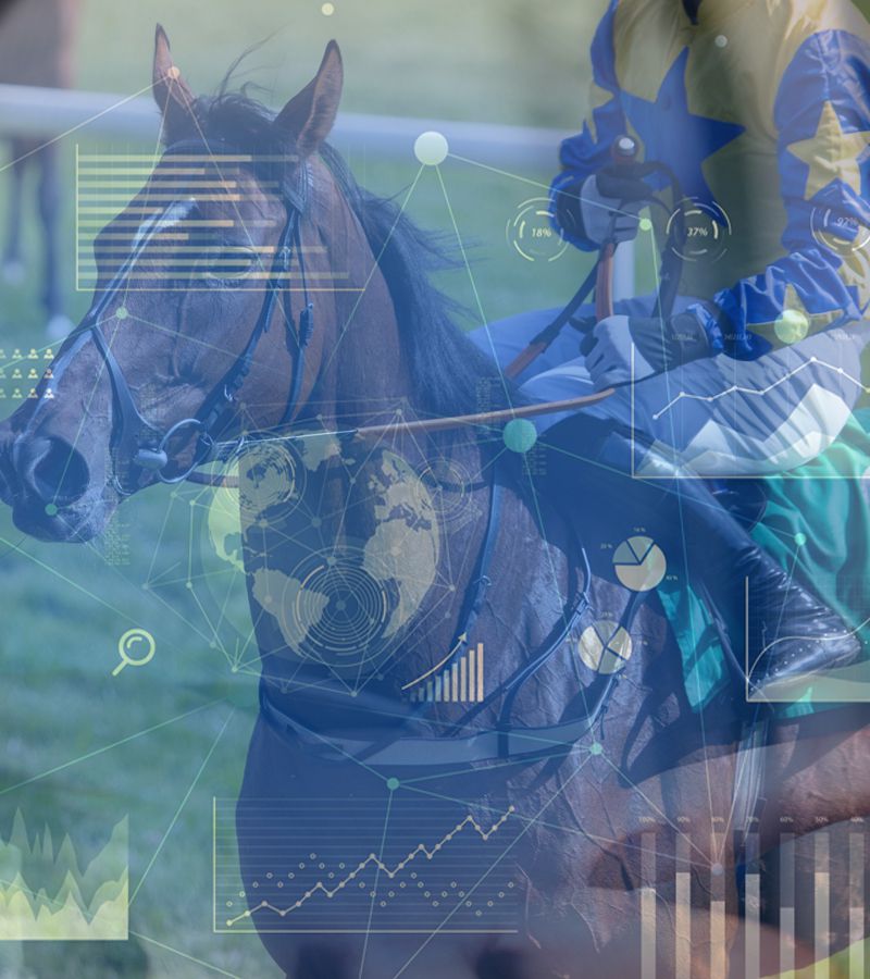 Horse Racing Odds Data - Mobile Slide Three