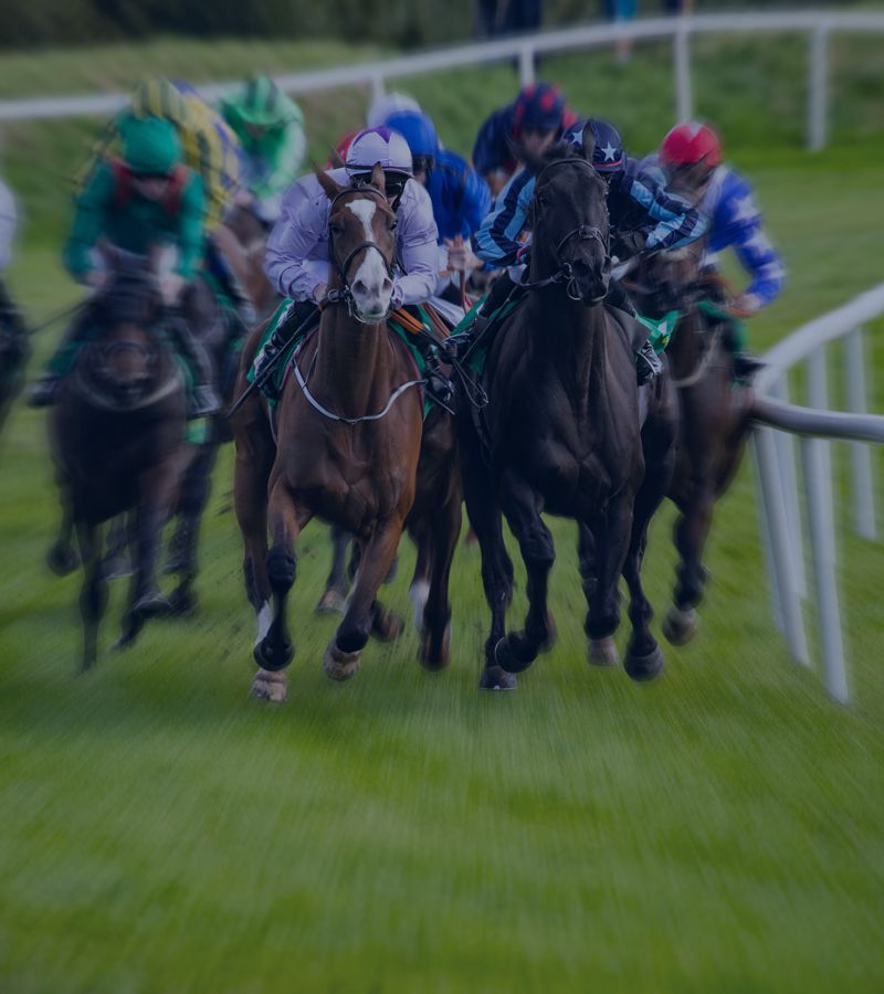 Horse Racing Odds Data - Mobile Slide Four