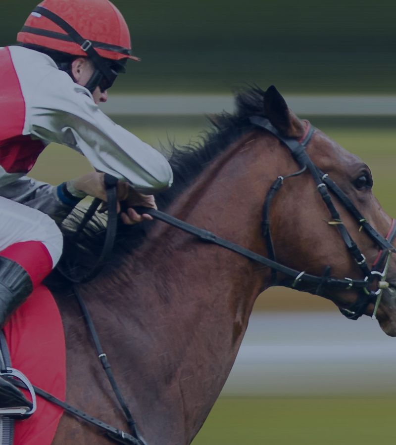 Horse Racing Odds Data - Mobile Slide Five